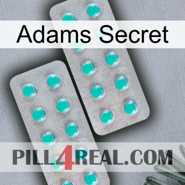 Adams Secret 29.jpg